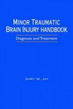 Minor Traumatic Brain Injury Handbook