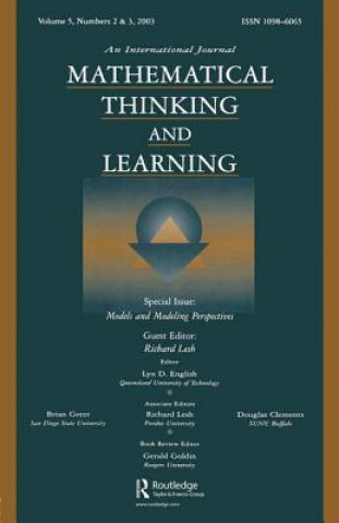 Models and Modeling Perspectives