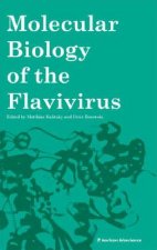 Molecular Biology of the Flavivirus