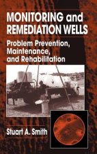 Monitoring and Remediation Wells