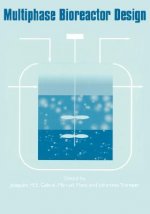 Multiphase Bioreactor Design