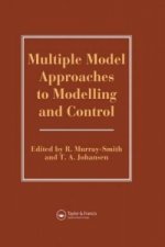 Multiple Model Approaches To Nonlinear Modelling And Control