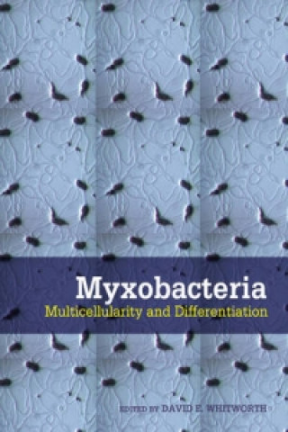 Myxobacteria
