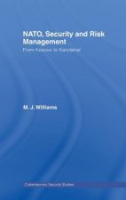 NATO, Security and Risk Management