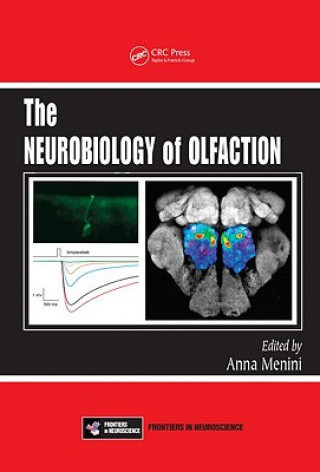 Neurobiology of Olfaction