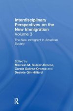 New Immigrant in American Society