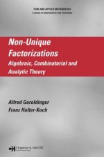Non-Unique Factorizations