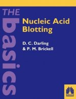 Nucleic Acid Blotting