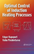 Optimal Control of Induction Heating Processes