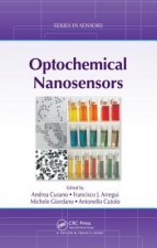 Optochemical Nanosensors