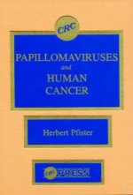 Papillomaviruses and Human Cancer