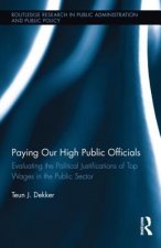 Paying Our High Public Officials