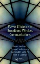 Power Efficiency in Broadband Wireless Communications