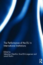 Performance of the EU in International Institutions