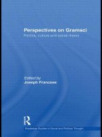 Perspectives on Gramsci