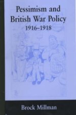 Pessimism and British War Policy, 1916-1918