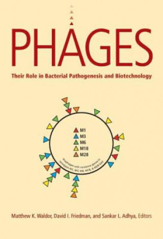 Phages