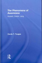 Phenomena of Awareness