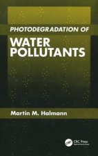 Photodegradation of Water Pollutants