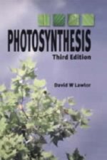 Photosynthesis