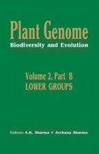 Plant Genome: Biodiversity and EvolutionVol. 2, Part B