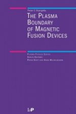 Plasma Boundary of Magnetic Fusion Devices