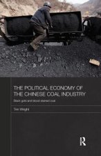 Political Economy of the Chinese Coal Industry