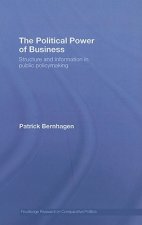 Political Power of Business