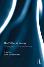 Politics of Energy