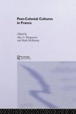 Post-Colonial Cultures in France