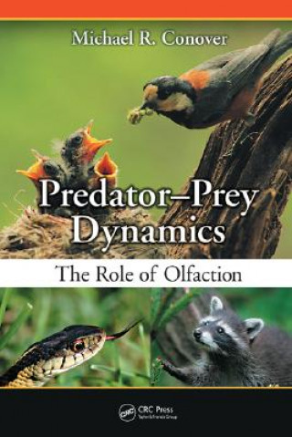 Predator-Prey Dynamics