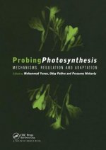 Probing Photosynthesis
