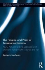 Promise and Perils of Transnationalization
