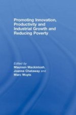 Promoting Innovation, Productivity and Industrial Growth and Reducing Poverty