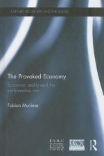 Provoked Economy