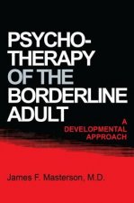 Psychotherapy Of The Borderline Adult