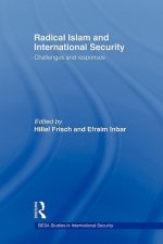 Radical Islam and International Security