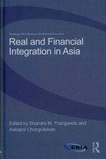 Real and Financial Integration in Asia