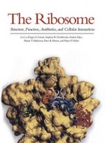 Ribosome