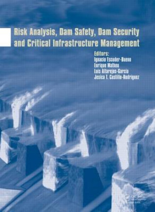 Risk Analysis, Dam Safety, Dam Security and Critical Infrastructure Management