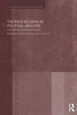 Role of Ideas in Political Analysis
