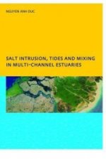 Salt Intrusion, Tides and Mixing in Multi-Channel Estuaries