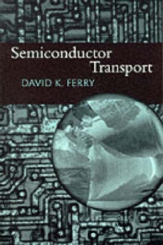 Semiconductor Transport