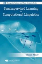 Semisupervised Learning for Computational Linguistics