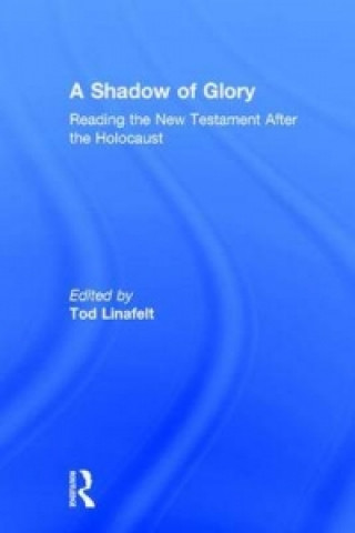 Shadow of Glory