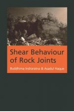 Shear Behaviour of Rock Joints