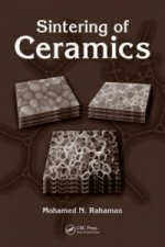 Sintering of Ceramics
