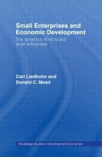 Small Enterprises and Economic Development