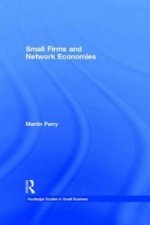 Small Firms and Network Economies