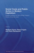 Social Costs and Public Action in Modern Capitalism